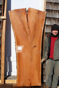 Cherry live edge wood slab with man standing next to it for size comparison