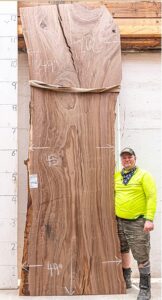 Claro natural live edge wood slab