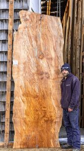 Maple natural live edge wood slab