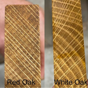 Red and white oak end grain compared